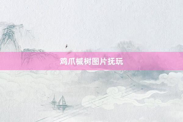 鸡爪槭树图片抚玩