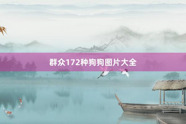 群众172种狗狗图片大全